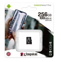 Карта пам'яті 256GB Kingston microSDXC Canvas Select Plus Class 10 UHS-I U3 V30 SDCG3/256GBSP фото