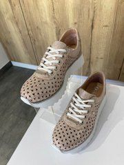 Кросівки Phany - Пудра 41 101415      фото