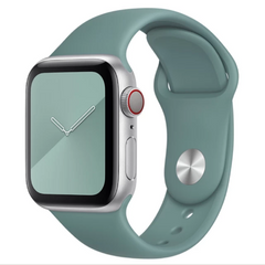 Ремінець Silicone Apple Watch 42 mm / 44 mm / 45 mm / 49 mm, Cactus 118791      фото