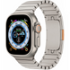 Ремінець Steel Apple Watch 38/40/41mm / ser.10 (140-190mm), Steel 125271      фото