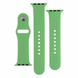 Ремінець Silicone Apple Watch 38 mm / 40 mm / 41 mm, Mint 114796      фото